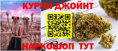 шишки Заводоуковск