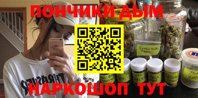 шишки Заводоуковск