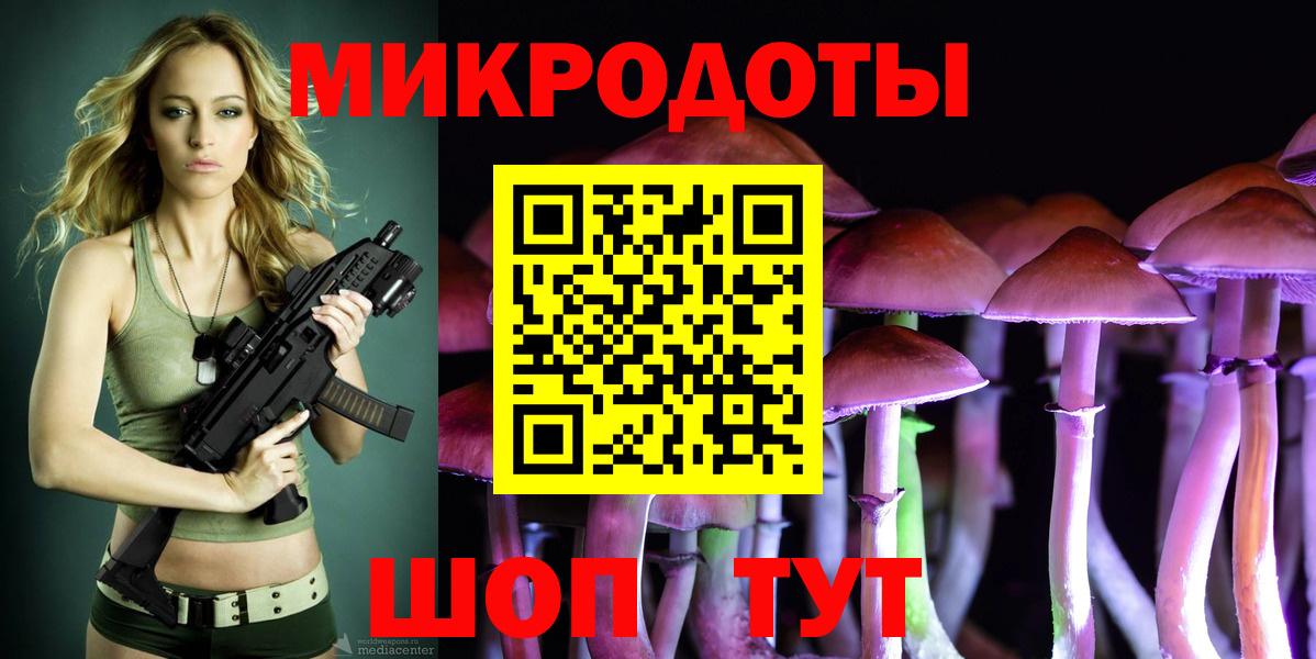 Кудрово  Галлюциногенные грибы Cubensis  Вход с VPN 