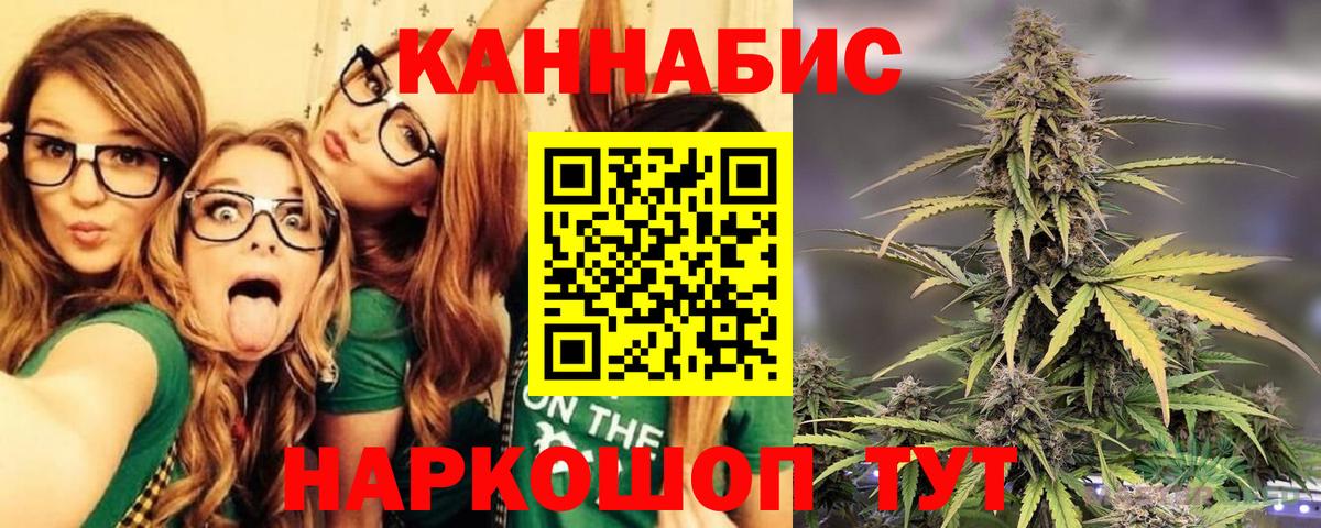Канабис семена Кудрово